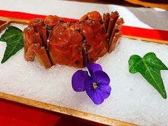 -荷风细雨·中国茶宴(碧云店)