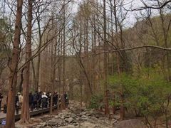 -国家植物园南园