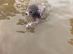 -东戴河风景区-止锚湾