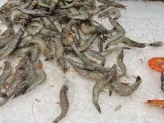 -新艺自助美食城(中山路店)