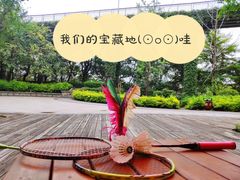 -金鸡山公园