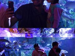 -暹罗海洋世界