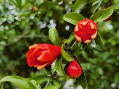 -广富林郊野公园