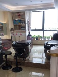 -碧莲盛·不剃发植发