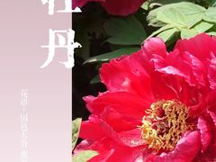 -中山公园