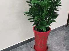 -张钰强中医正骨推拿连锁(唐家人才公寓店)