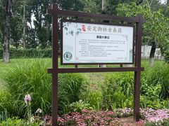 -御林古桑园