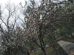-山东大学(洪家楼校区)