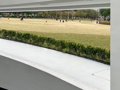 -紫马岭公园
