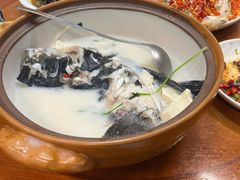 -全乐鱼馆·淳牌有机鱼直营店