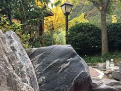 -麦积山温泉
