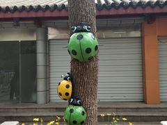 -杭州少年儿童公园