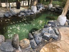 -张家港金凤凰度假村温泉