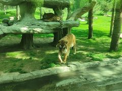 -北京野生动物园