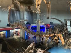 -国家自然博物馆