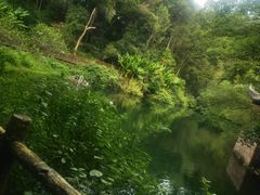 -常德桃花源景区
