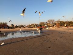 -老虎石海上公园