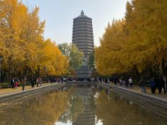 -玲珑塔公园