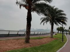 -野狸岛