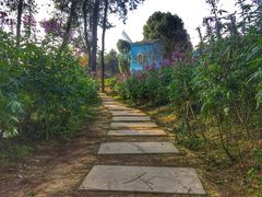 -铁山坪森林公园