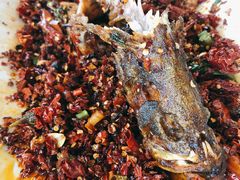 -胖大姐黄辣丁鱼庄(新津店)