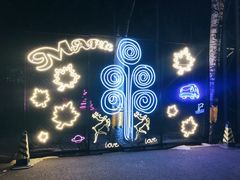 -枫花园汽车电影院(朝阳公园店)
