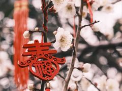 -钱王祠
