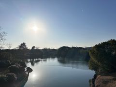 -桃花岛景观公园