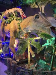 -恐龙探索乐园(磁器口店)