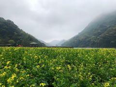 -广州市石门国家森林公园