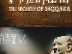 -上海博物馆(人民广场馆)