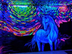 -深圳独角兽星空艺术馆