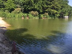 -佛山祈福仙湖酒店