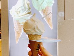 -野人先生现做冰淇淋(西安赛格店)
