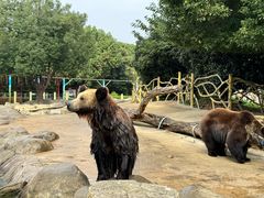 -常州淹城野生动物世界