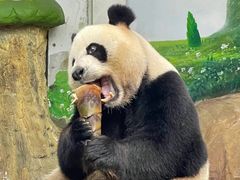 -广州长隆欢乐世界