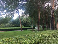 -长春公园(普阳街道)