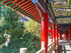 -开福禅寺