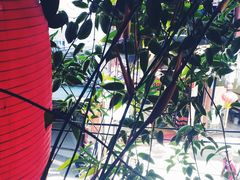 -香满楼(临安路店)