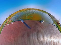 -南大港湿地风景区