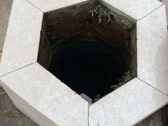 -小鱼草莓采摘园农家乐·小鱼餐厅