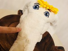 -天目湖涵田半山温泉