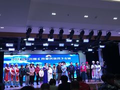 -中国宋庆龄青少年科技文化交流中心