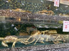 -宝燕壹号(徐汇店)