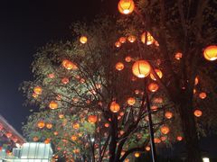 -大雁塔北广场音乐喷泉