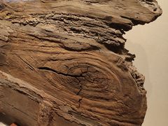 -上海中国航海博物馆