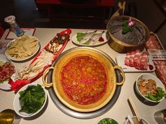 -小龙坎火锅(全球旗舰店)