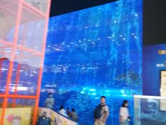 -成都浩海立方海洋公园