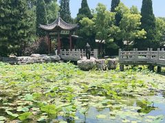-晋祠公园