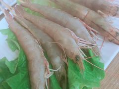 活虾-金海阁海鲜火锅